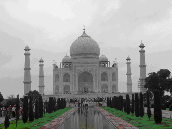 taj_copy