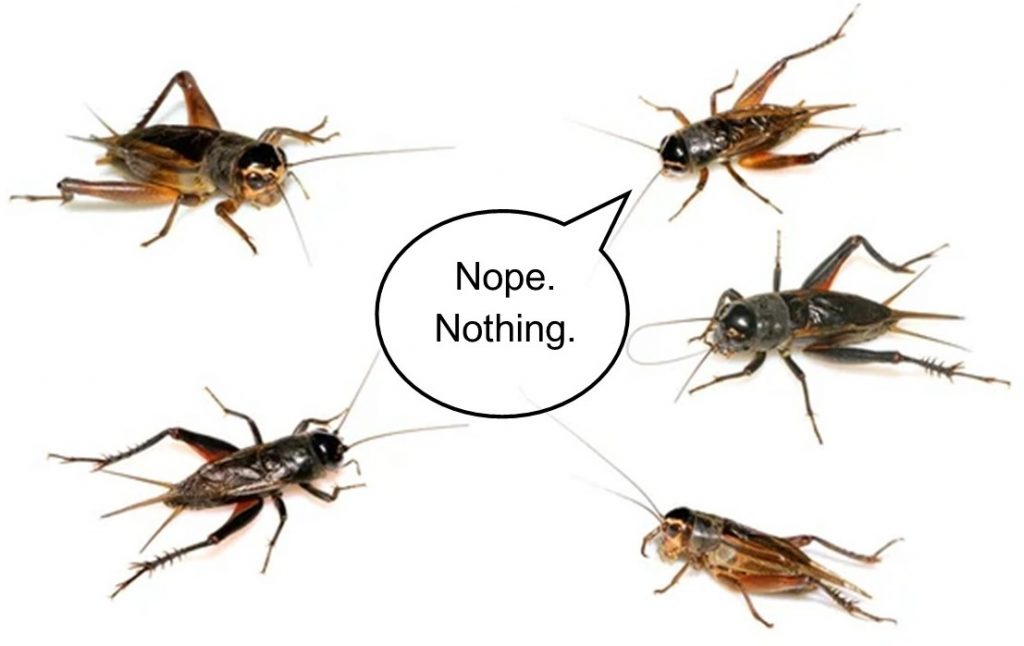 nopenothing_crickets